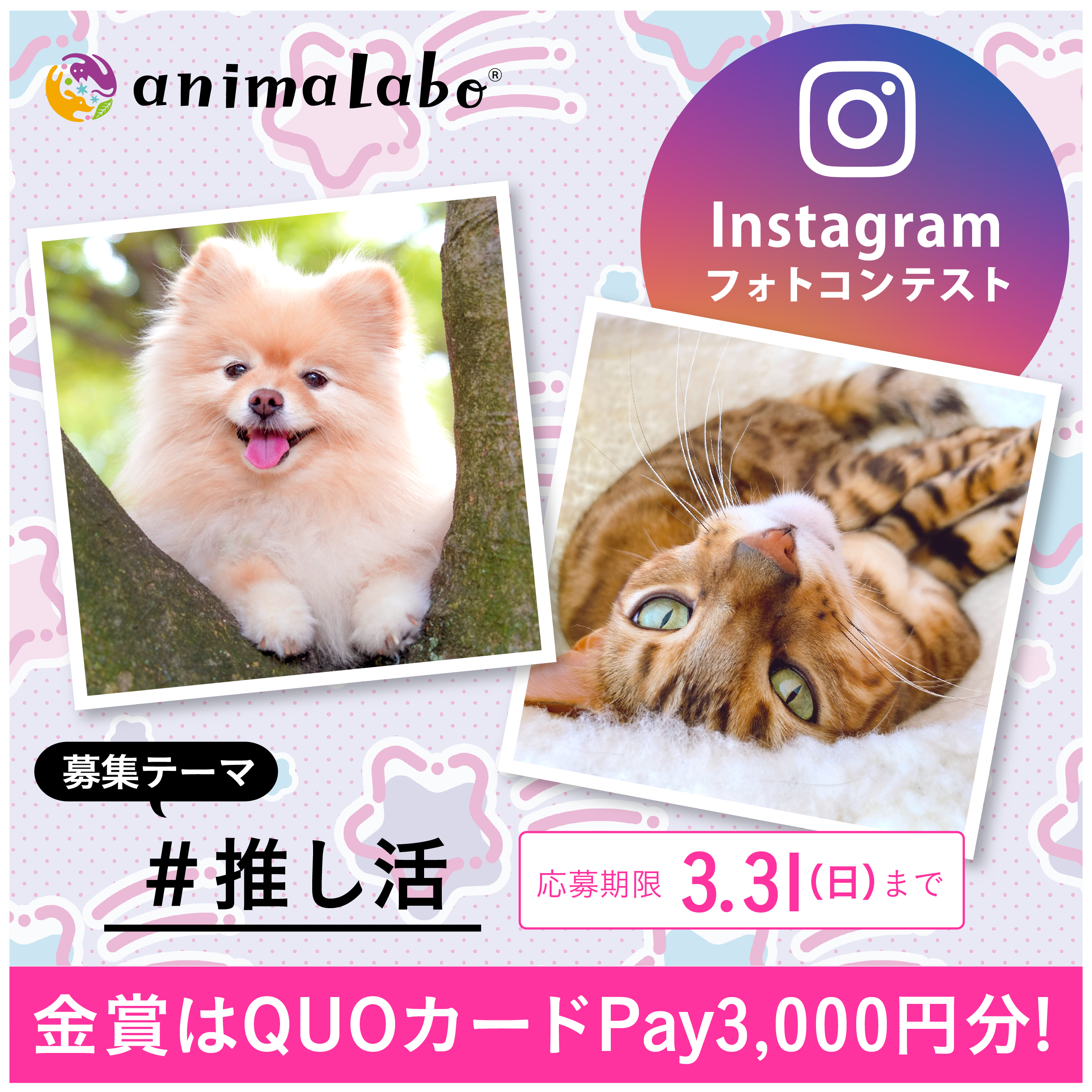 第63回Instagramフォトコンテスト #推し活